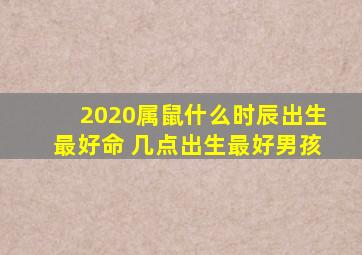 2020属鼠什么时辰出生最好命 几点出生最好男孩